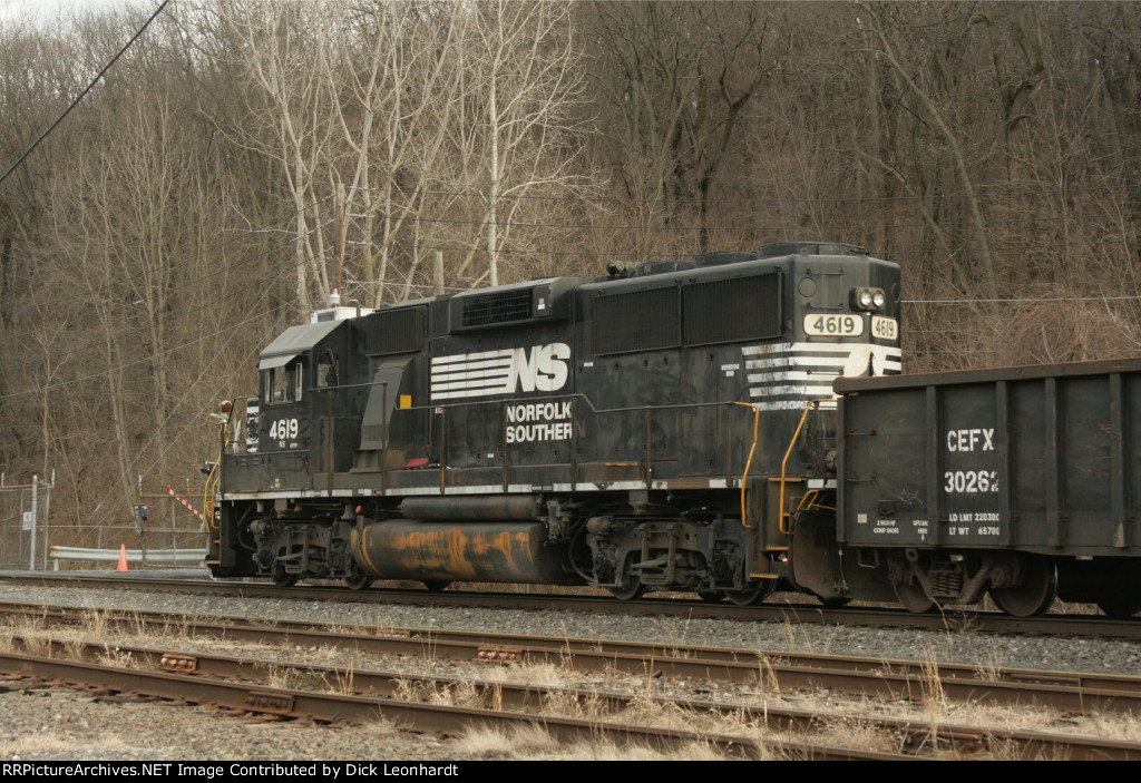 NS 4619